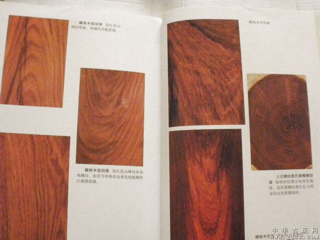  p>蚬木,拉丁学名: i>excentrodendron hsienmu /i>(chun et how) h.