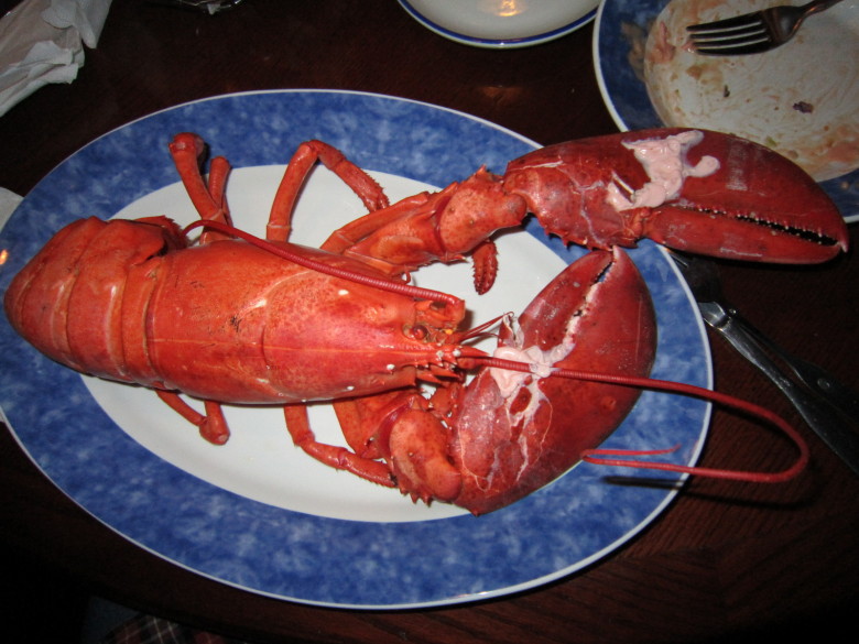 data-lemmaid="875123">亚洲渔港 /a>红龙虾料理餐厅,是由国内最大的