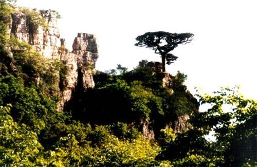 黄羊山森林公园