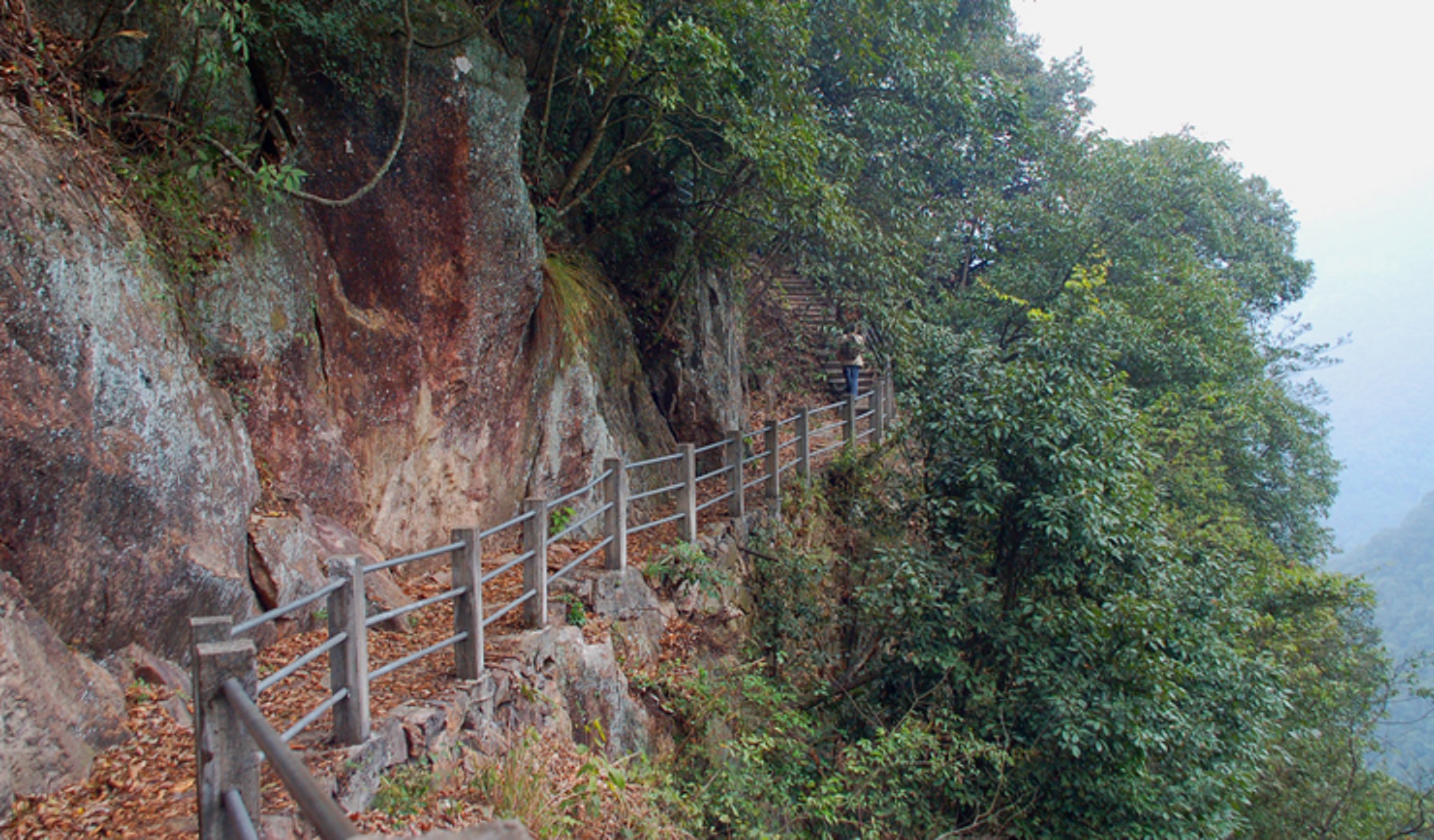 福建旗山国家森林公园