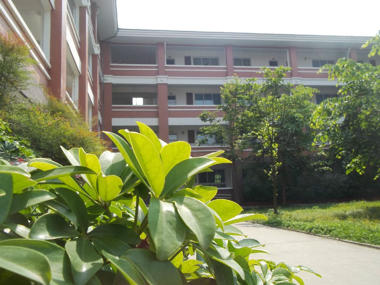 四川省崇州市崇庆中学