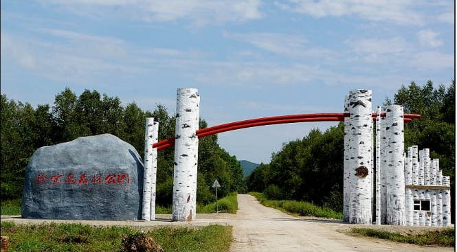 珍宝岛森林公园