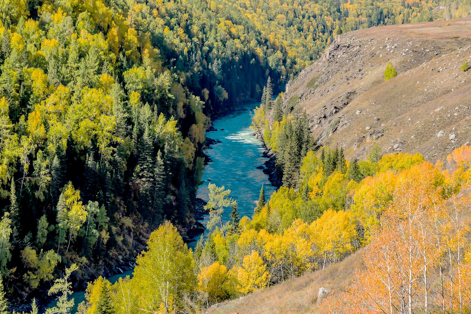 ">布尔津县 /a> a target="_blank" href="/item/喀纳斯河/1996432"