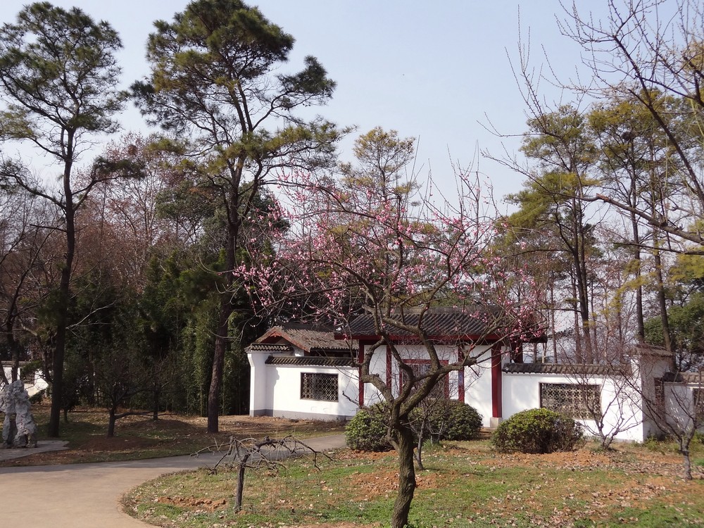  p>东湖梅园(武汉东湖磨山梅园)为全国 a target="_blank" href="