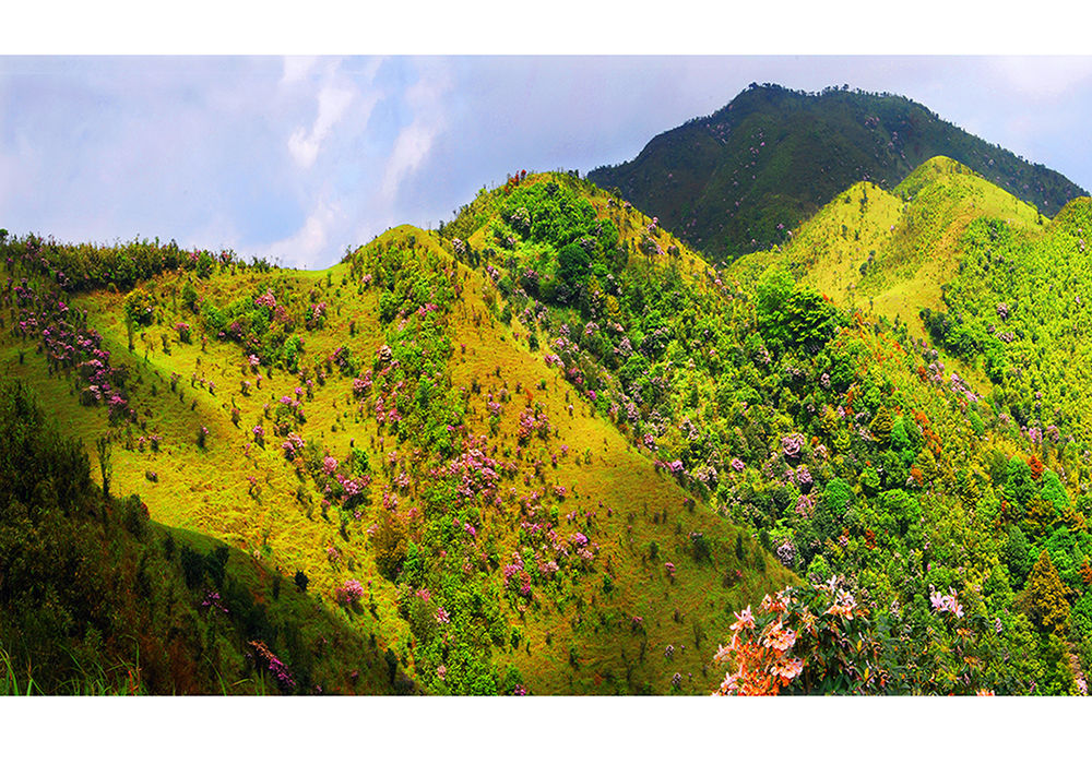  p>鸡笼顶是阳春市名山之一,是广东珠江支流南江(罗定江)的发源地.