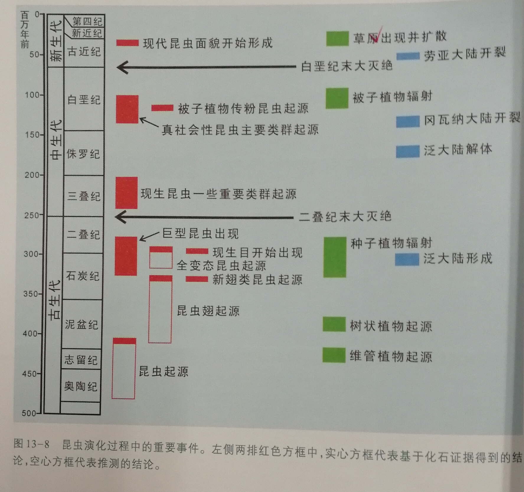 征服天空 昆虫的起源演化与其多样性的变化百科ta说 