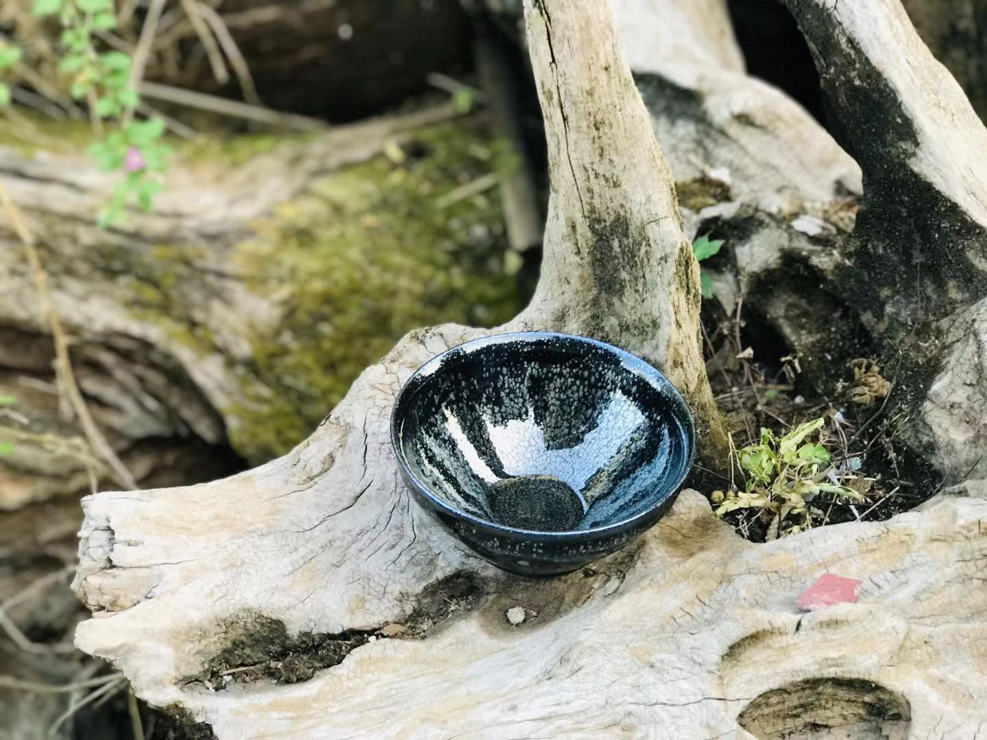  p>倪梅英,女,南平市建阳区华锋建盏陶瓷厂法定代表人,陶瓷装饰师.