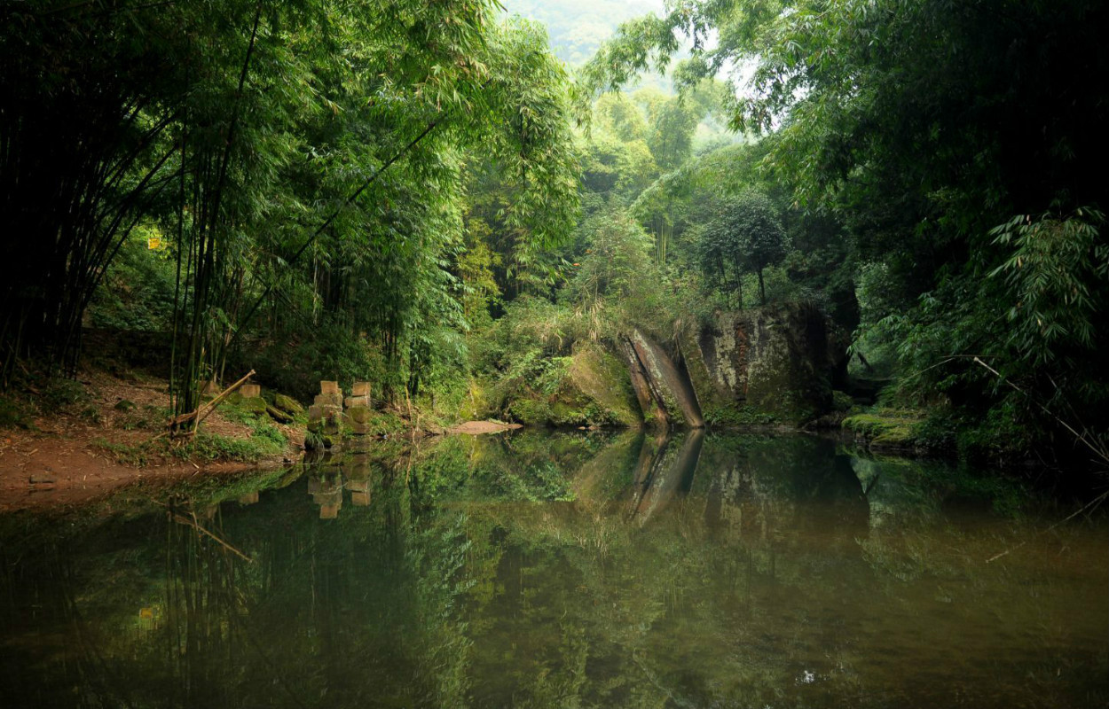 芦沟竹海位于中国四川省邛崃市,是距离成都