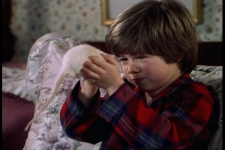 小鬼当家3homealone3(1997)