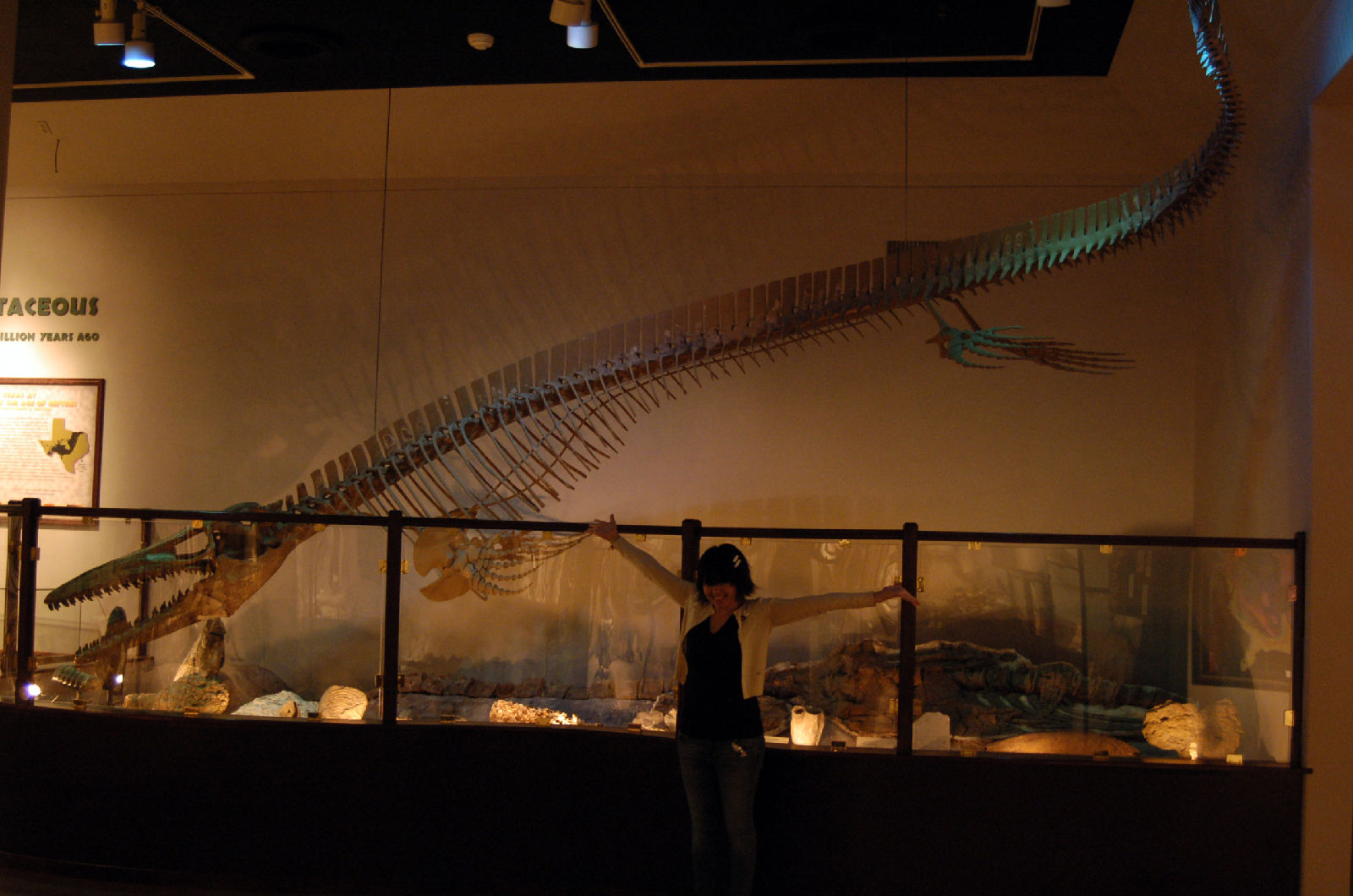  p>海王龙(tylosaurus)又名 a href="#" data
