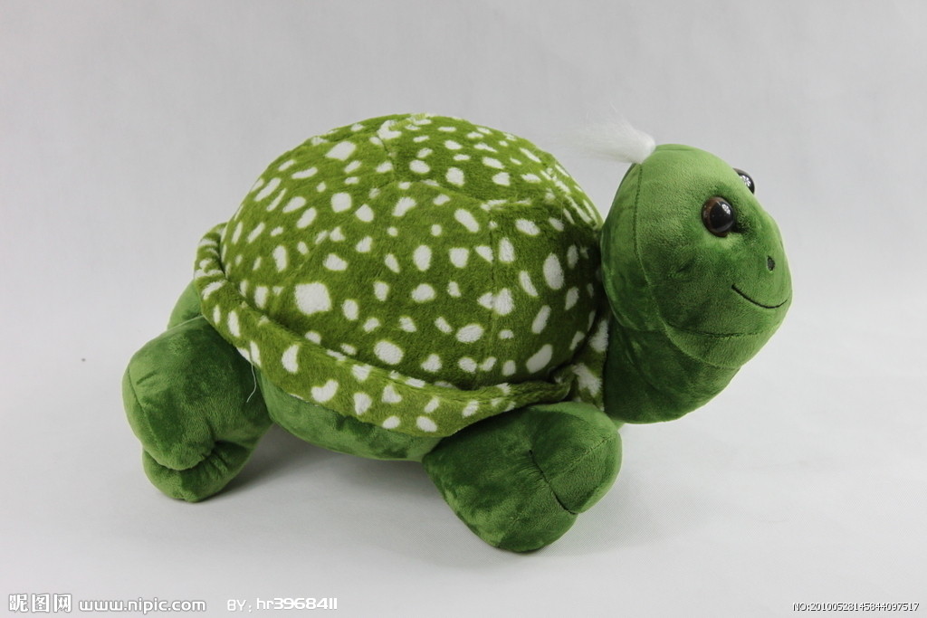  p data-id="gnx15umzs0">太平洋绿龟,体重在150