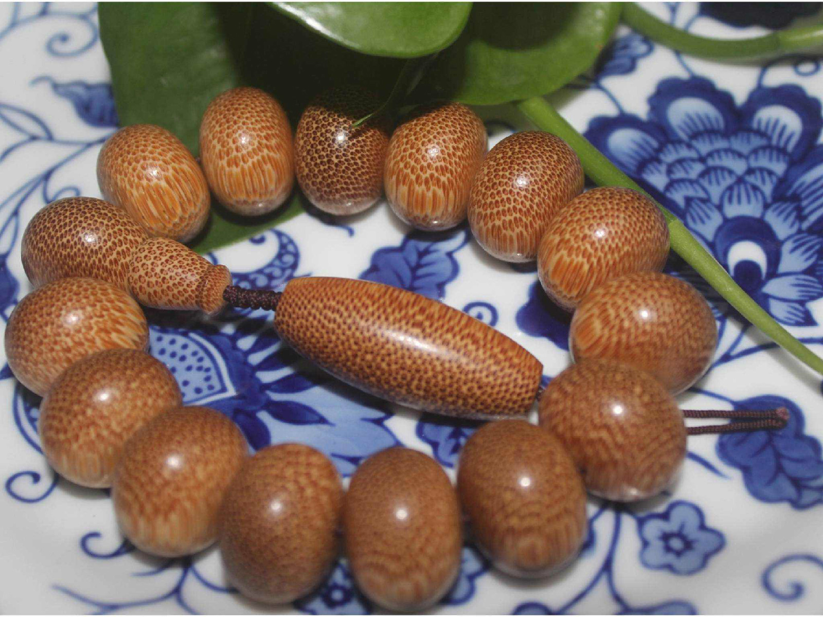 龙血金丝竹