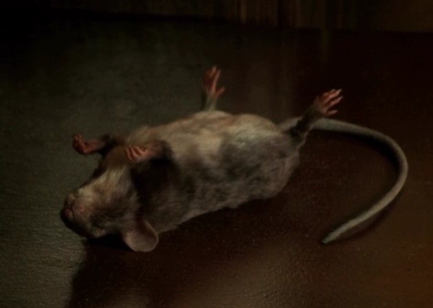 捕鼠记mousehunt(1997)