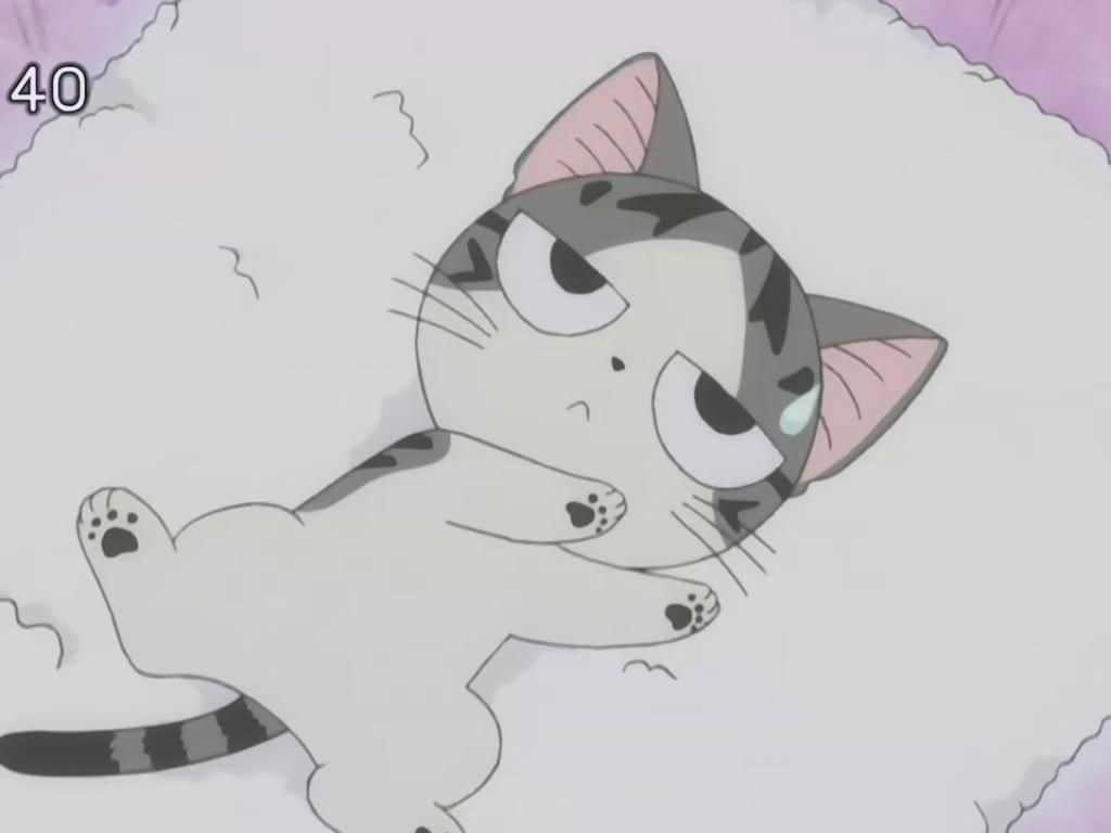 甜甜私房猫
