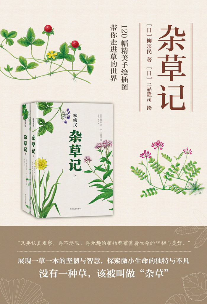  p>《杂草记》是一本2017年4月四川文艺出版社出版的图书,作者是 a