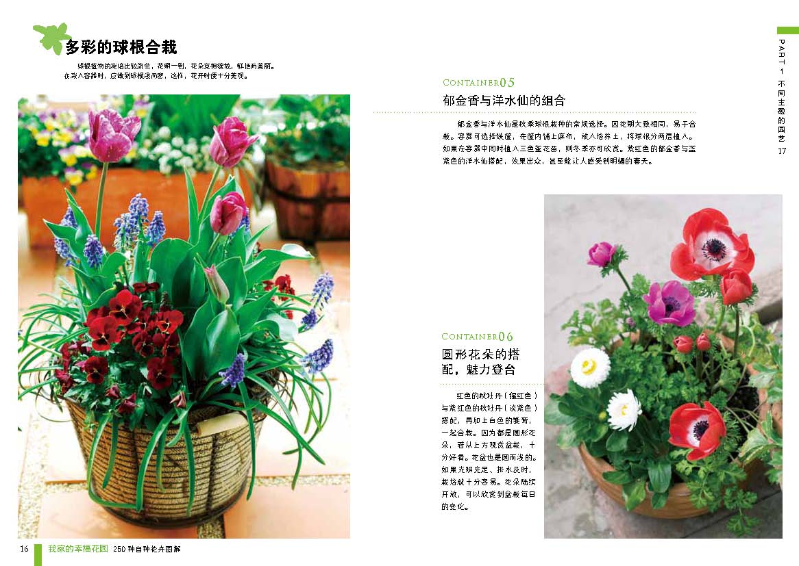 href="/item/我家的幸福花园 : 250种自种花卉图解">我家的幸福花园