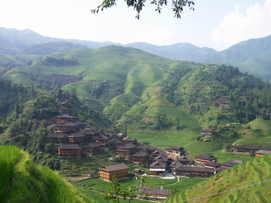 龙胜国家森林公园