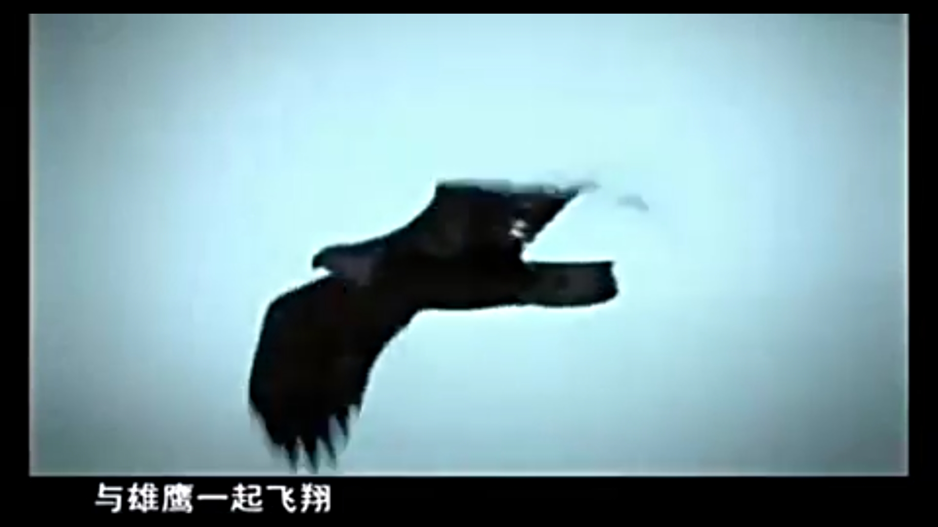 狼图腾歌曲原唱(狼图腾歌曲原唱意思是什么)