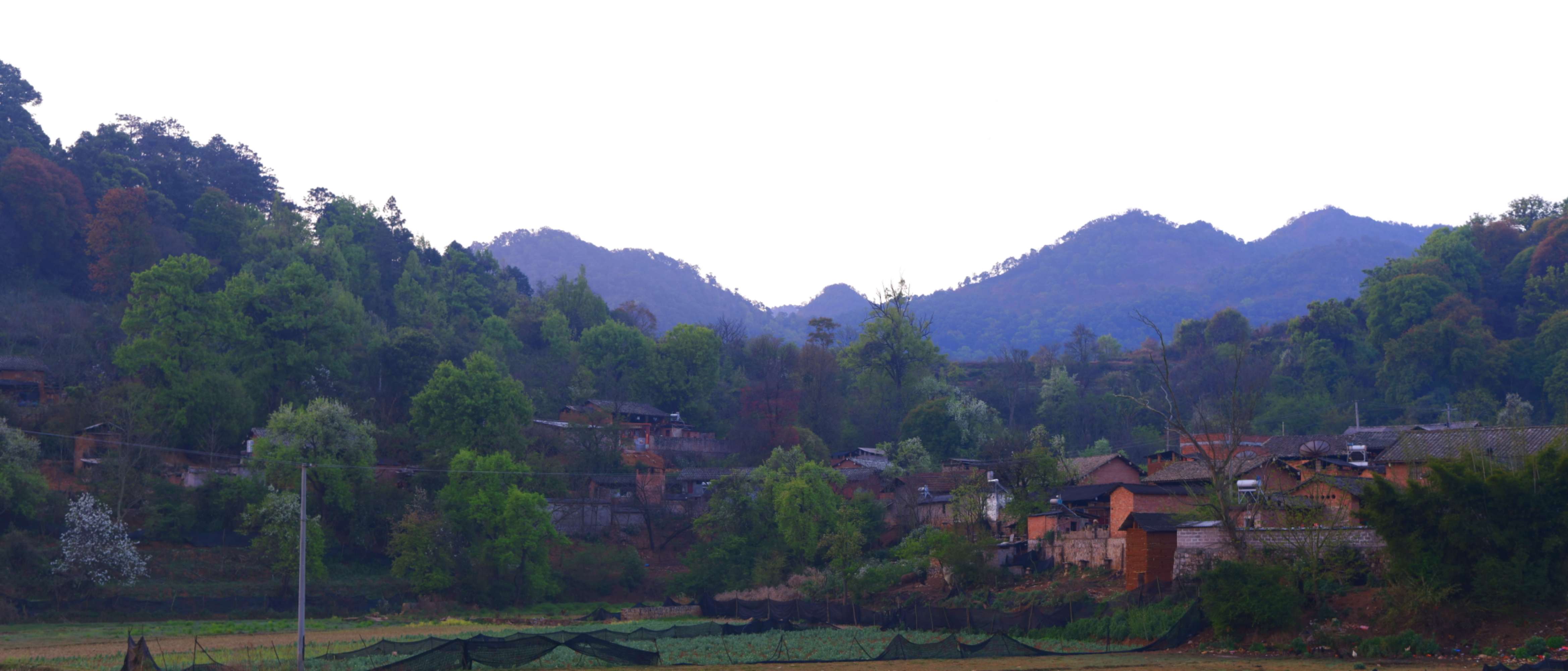  p>普雄乡,隶属于云南省红河哈尼族彝族自治州建水县,地处 a target="