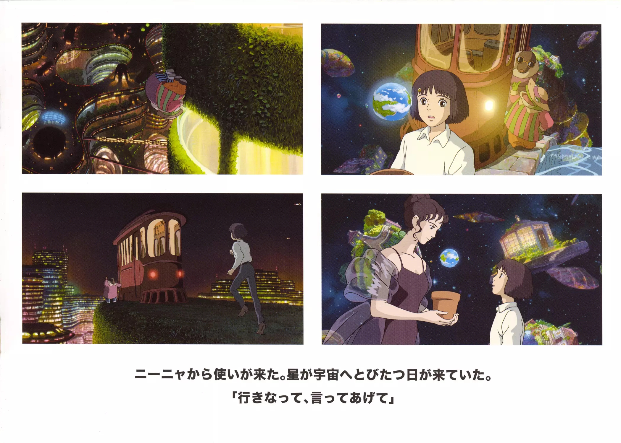 种下星星的日子