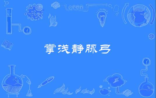 掌浅静脉弓_百度百科