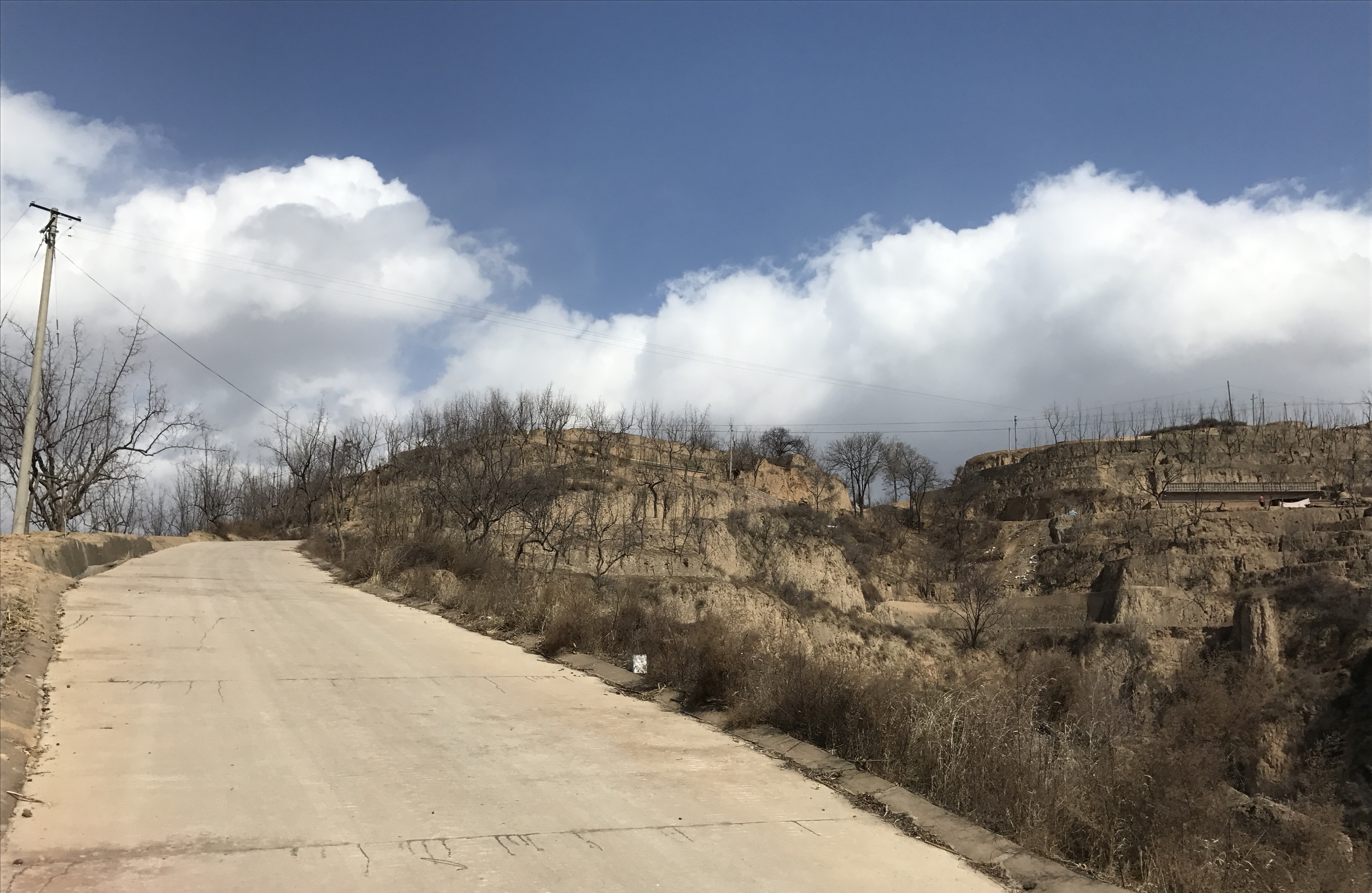 target="_blank" href="/item/吴堡县/4612920" data-le