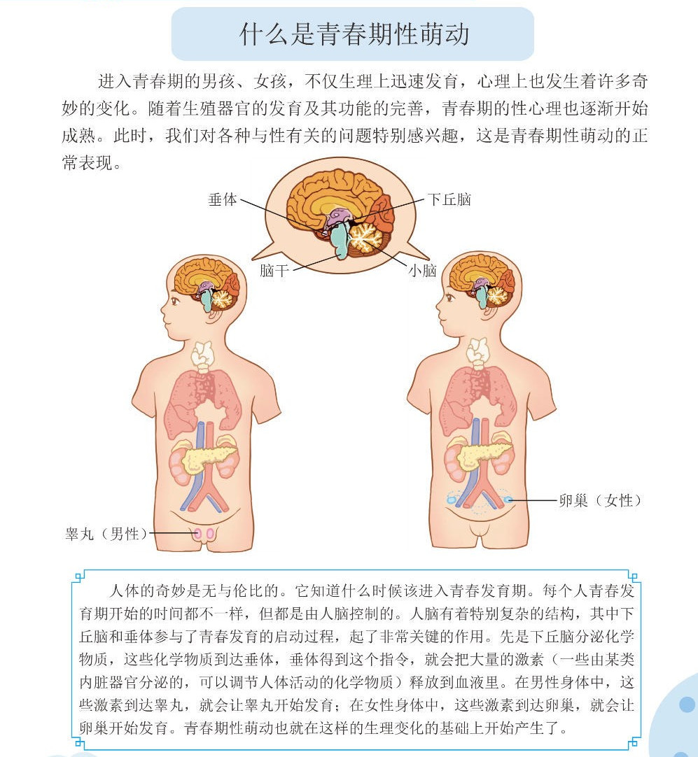  p>睾丸是男性 a target="_blank" href="/item/生殖/23331196" data