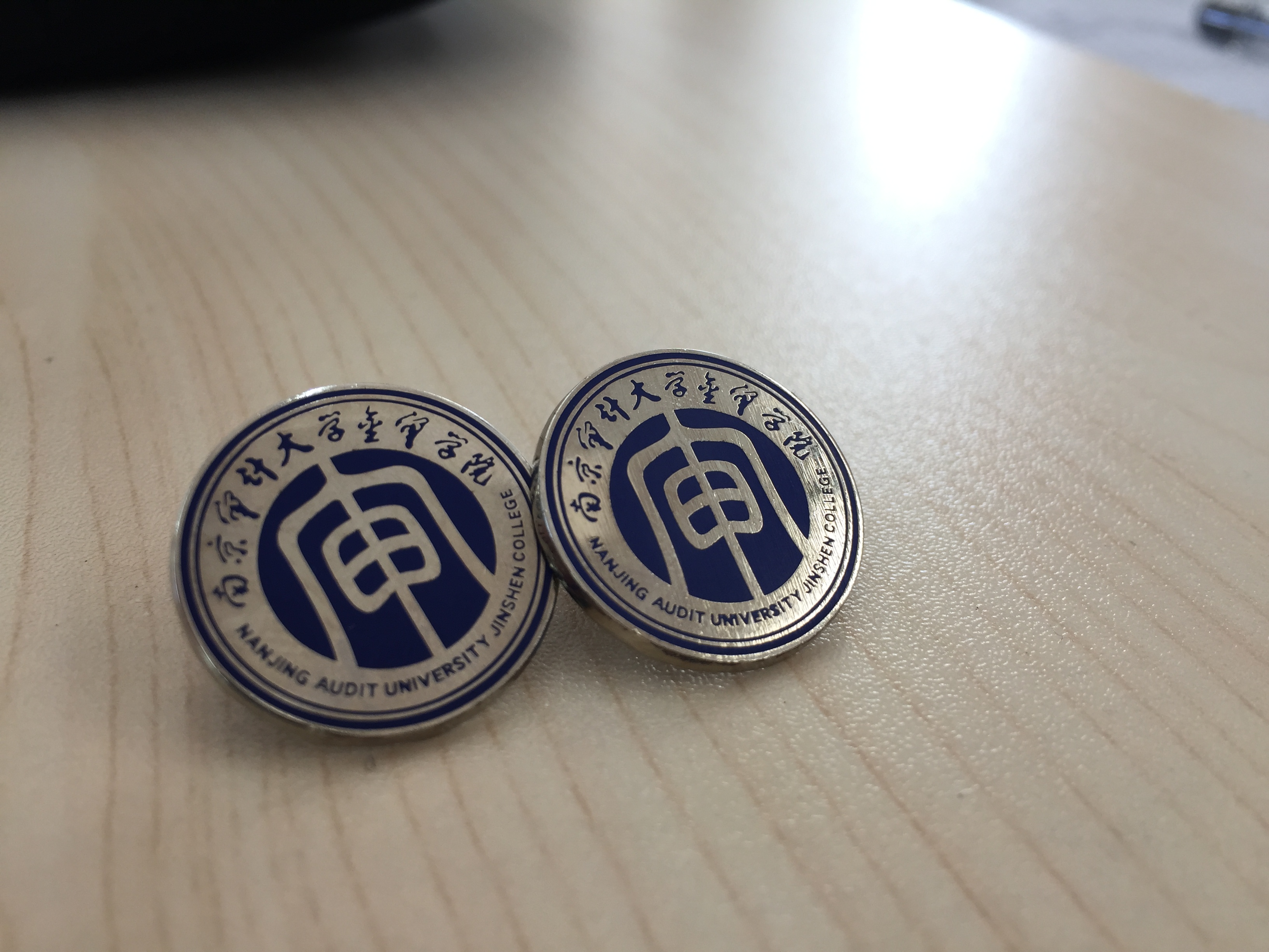 学院(nanjing audit university jinshen college),简称"南审金审", 