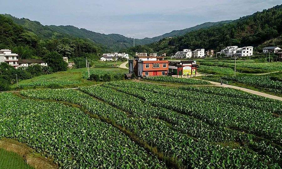  p>平富乡,隶属江西省赣州市 a target="_blank" href="/item/上犹县