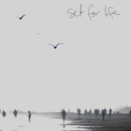 Set for Life_百度百科