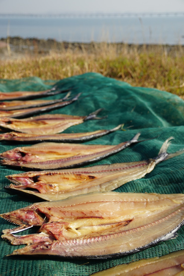 一鲁鲜甜晒鲅鱼