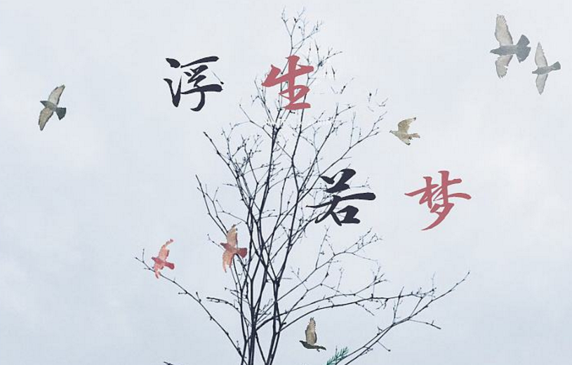 的情景,其中交织着热爱生活的豪情逸兴,与"浮生若梦",及时行乐的感喟