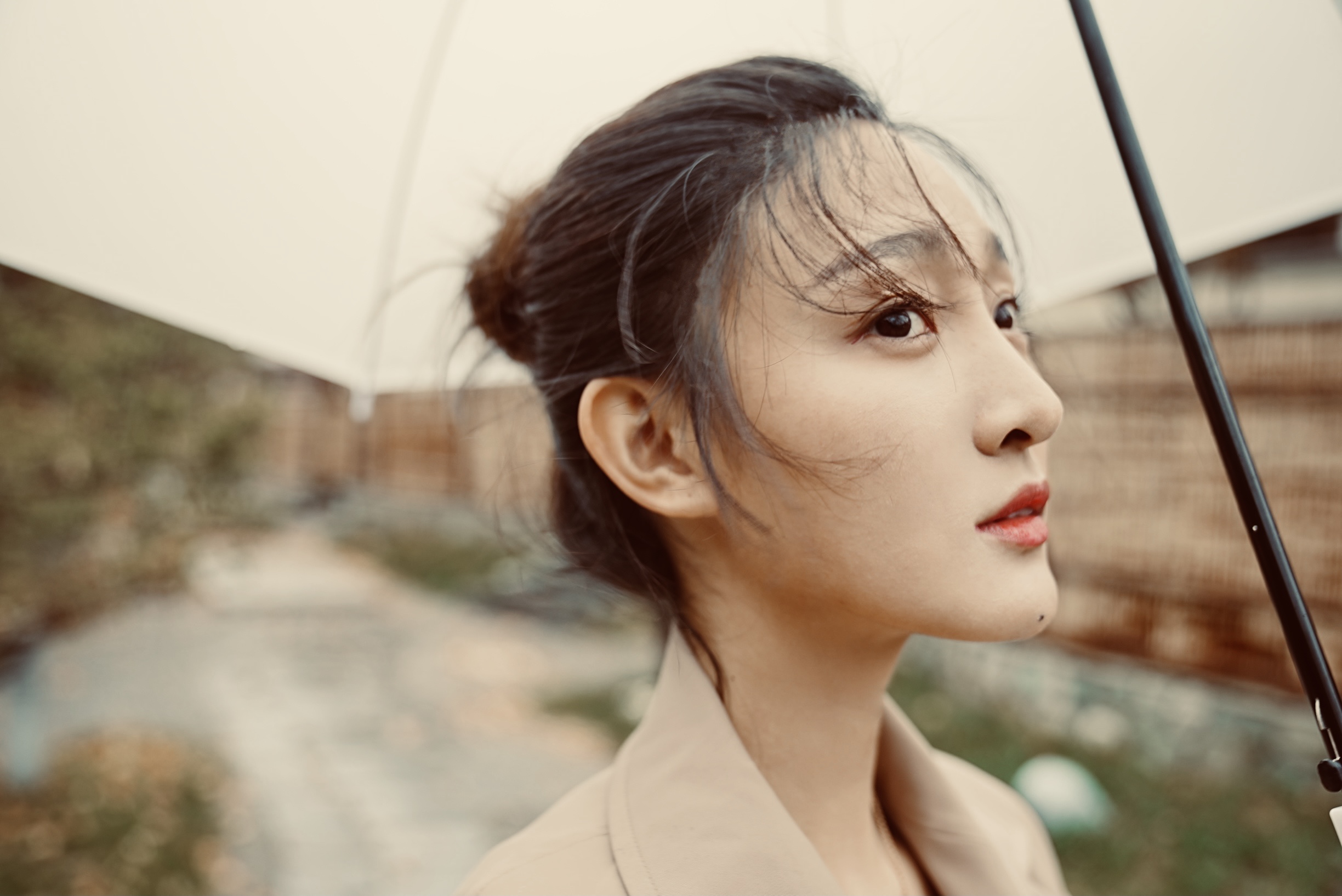 李羽桐