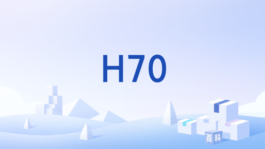 H70_百度百科