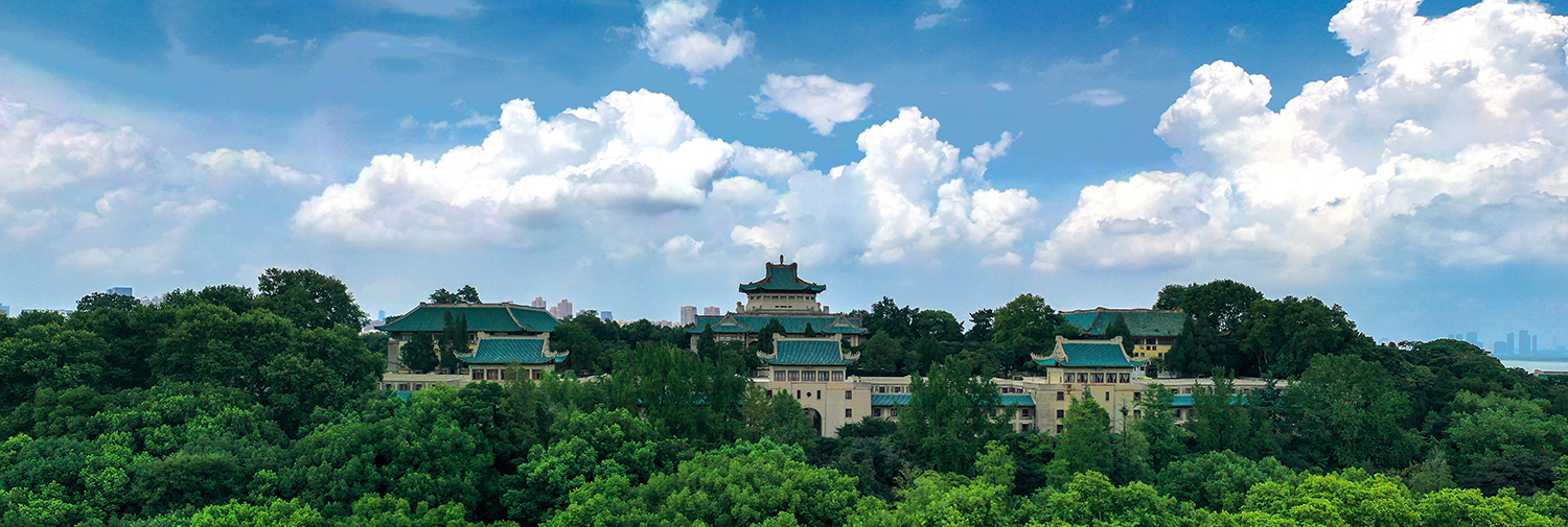 武汉大学