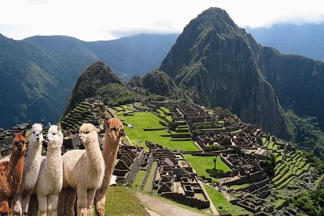  p>南美洲风情园,占地1440平方米,主要展示南美洲典型特色的地形地貌