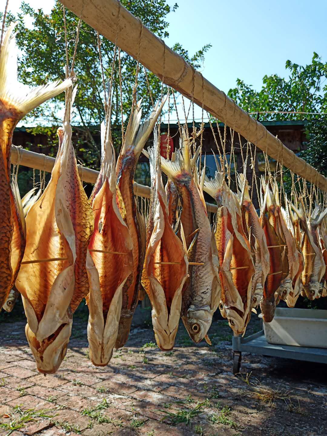 开平疍家双晒鲮鱼干制作技艺