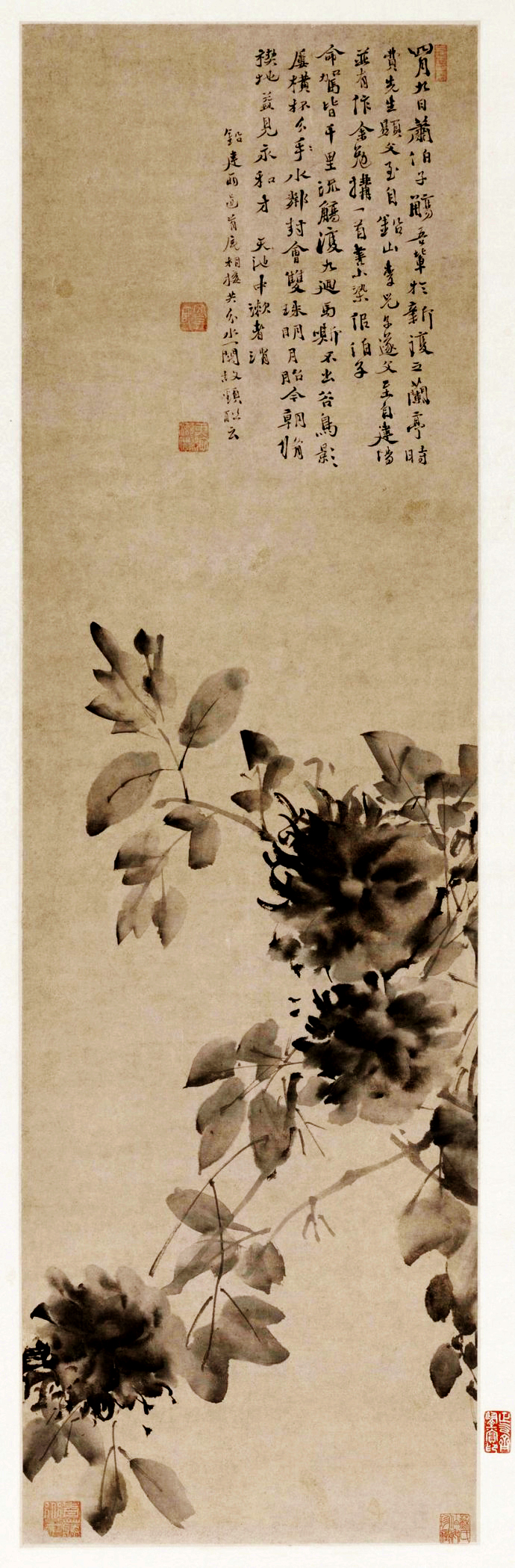 徐渭水墨牡丹图轴