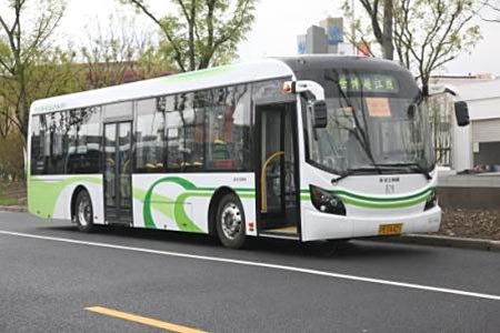 解析纯电动乘用车，开启绿色出行新篇章？