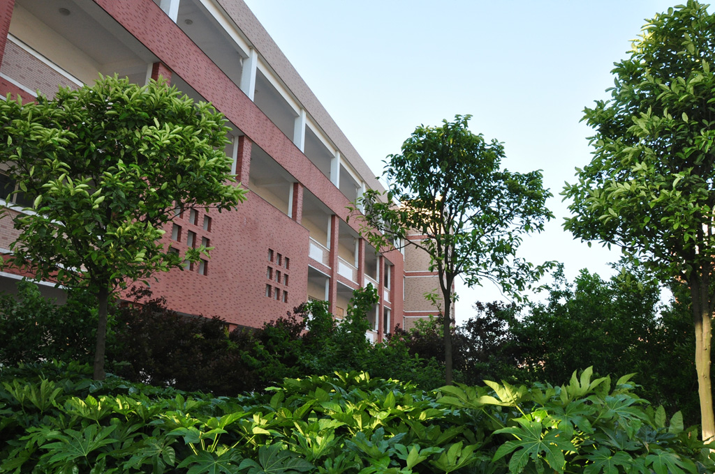 桐乡凤鸣高级中学