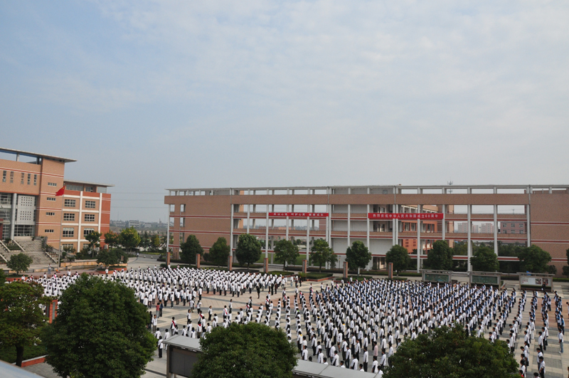 浙江省桐乡市凤鸣高级中学