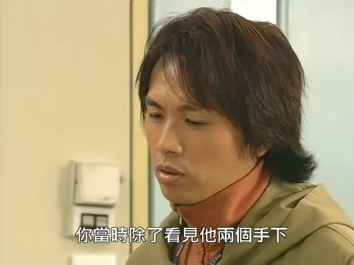 《栋笃神探 i>(to catch the uncatchable) /i>》是25集中国香港电视