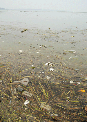  p>污水是指受一定污染的来自生活和生产的排出水.