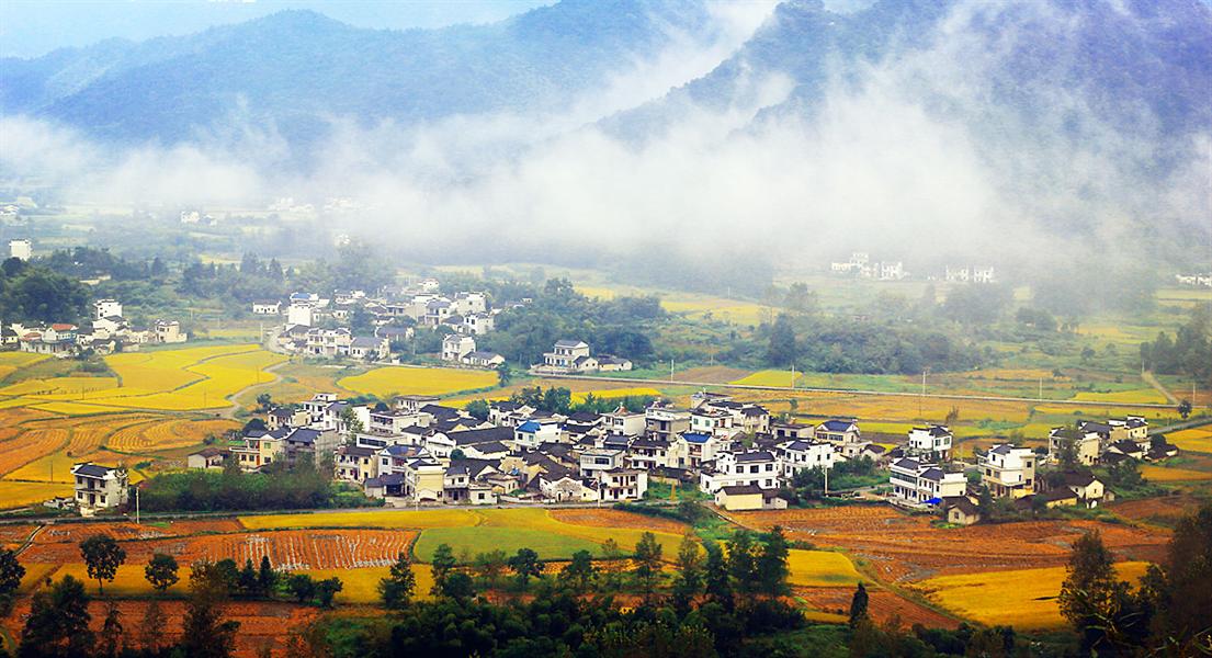 柯村位于青阳县西南九华山北麓的少微峰下