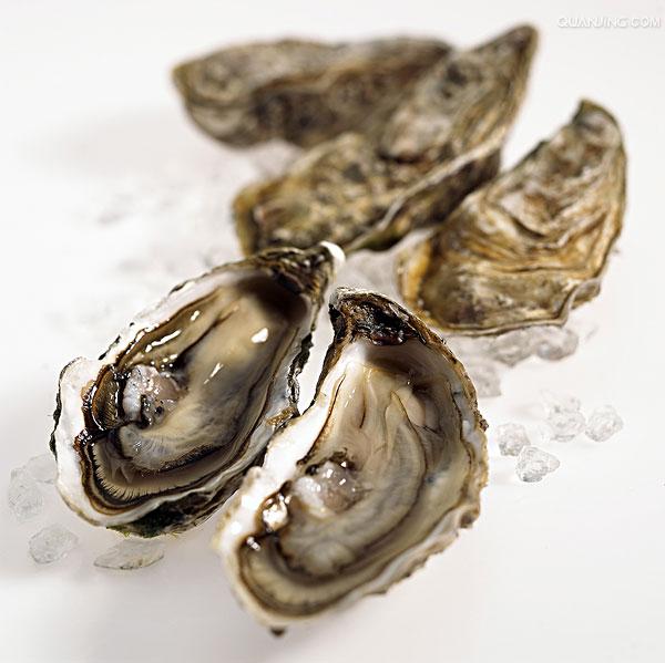  p>牡蛎( i>ostrea gigas tnunb /i>)俗称海蛎子,蚝等,隶属软体动物门