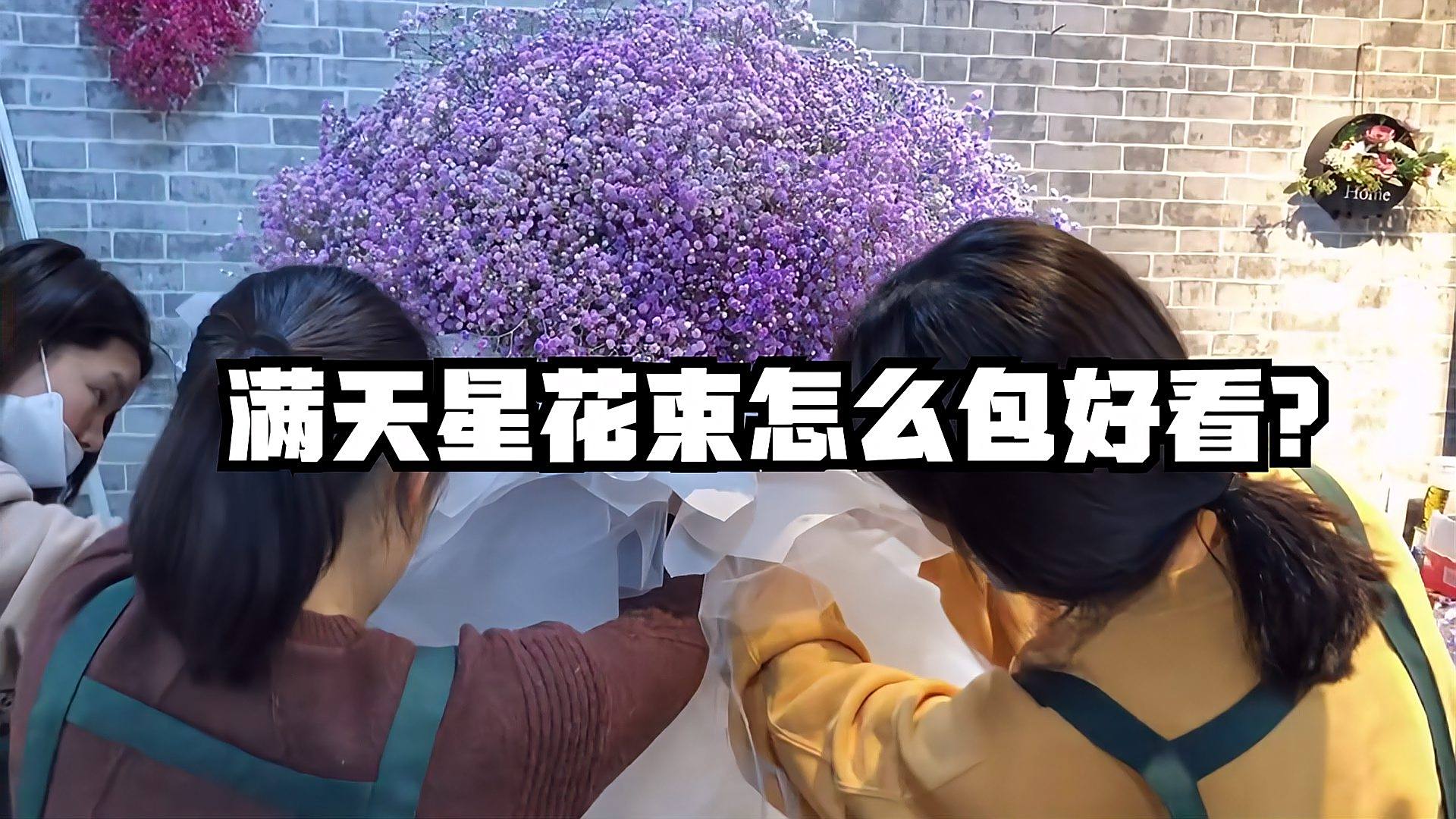 宿根霞草 百度百科