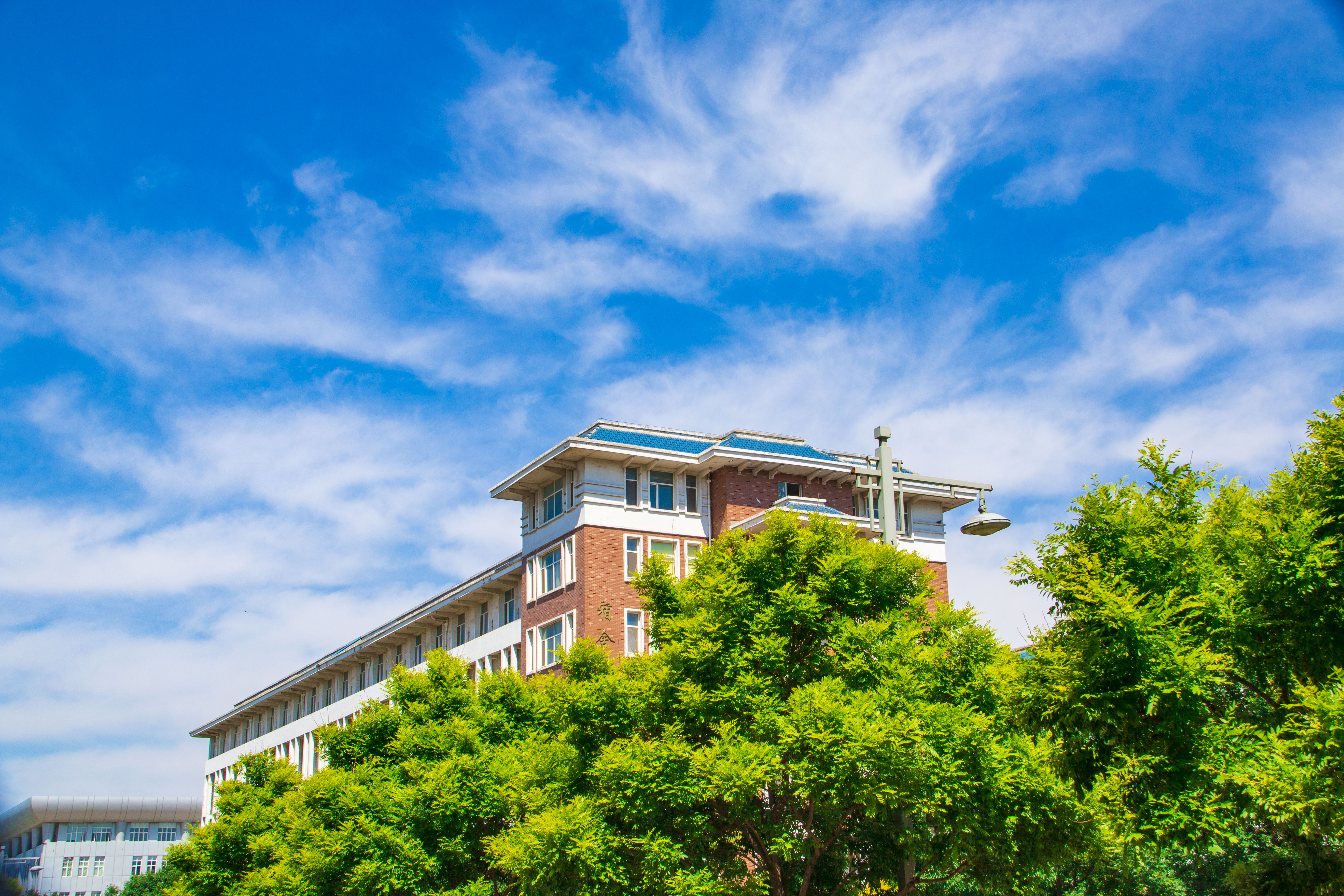  p>河北农业大学渤海校区( i>agricultural university of hebei