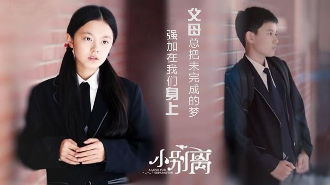 小别离第二部