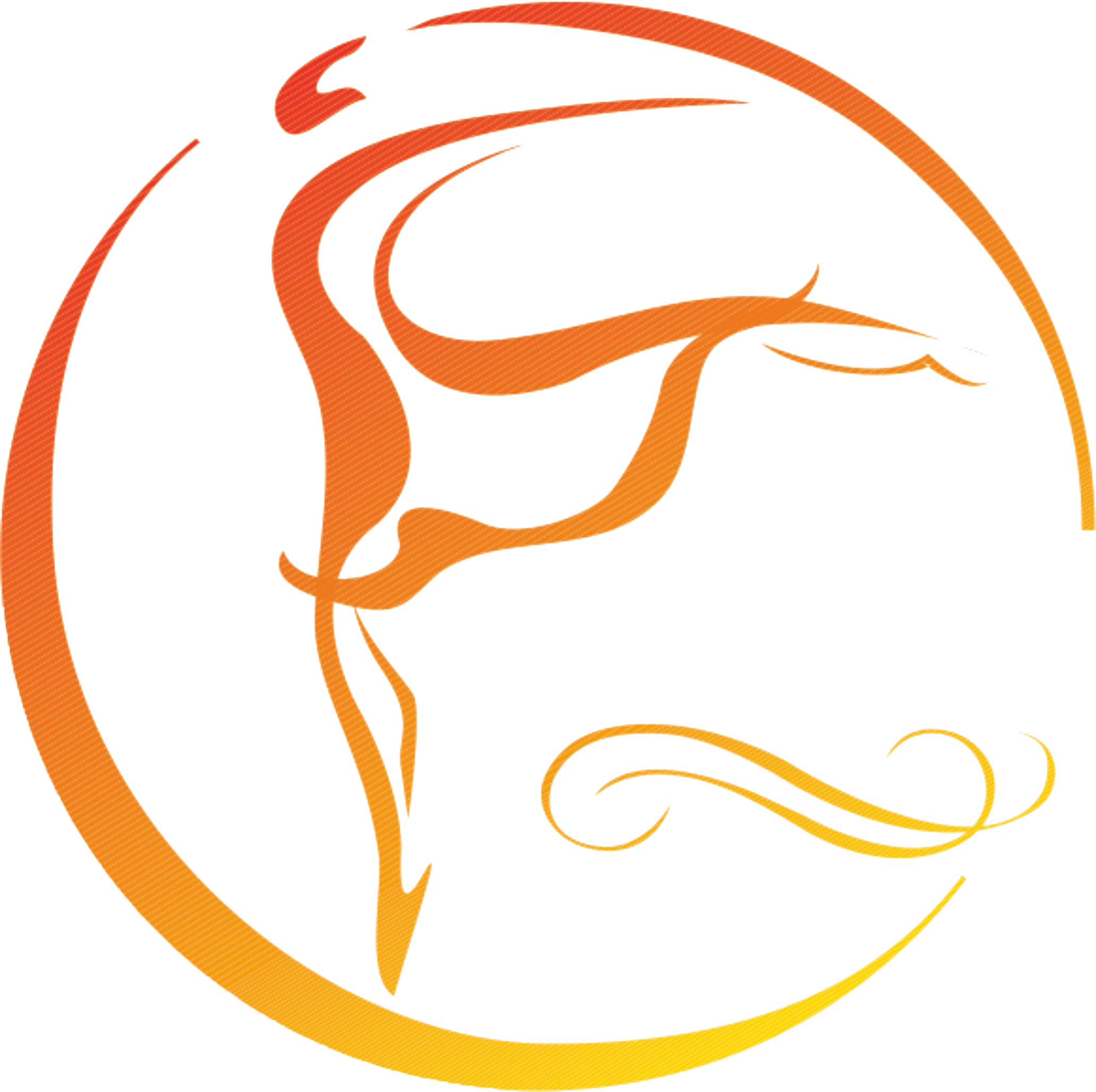 中国舞蹈人才库