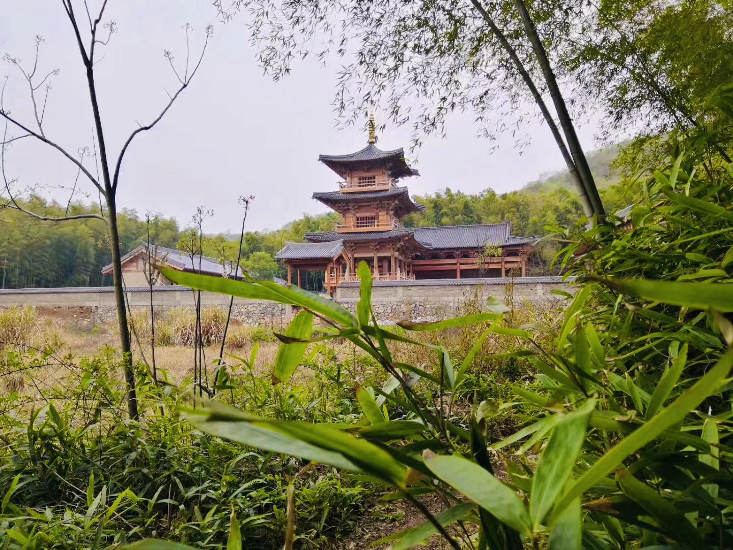 南泉禅寺